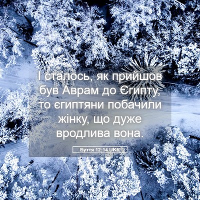 Picture 05 - Буття 12:14 UKR - І сталось, як прийшов був - Bible Verse Picture