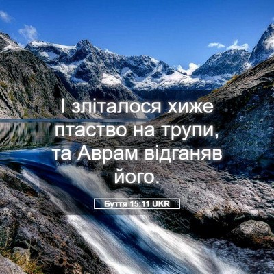 Picture 05 - Буття 15:11 UKR - І зліталося хиже птаство - Bible Verse Picture