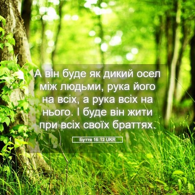 Picture 05 - Буття 16:12 UKR - А він буде як дикий осел - Bible Verse Picture