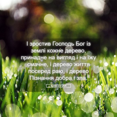 Picture 05 - Буття 2:9 UKR - І зростив Господь Бог із - Bible Verse Picture
