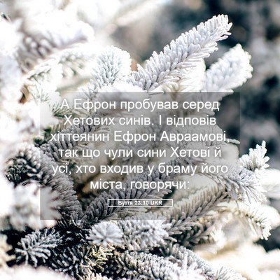 Picture 05 - Буття 23:10 UKR - А Ефрон пробував серед - Bible Verse Picture