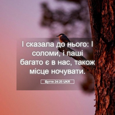 Picture 05 - Буття 24:25 UKR - І сказала до нього: І - Bible Verse Picture
