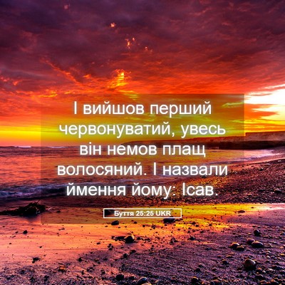 Picture 05 - Буття 25:25 UKR - І вийшов перший - Bible Verse Picture