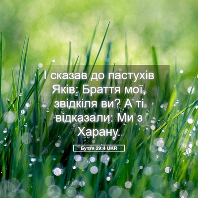 Picture 05 - Буття 29:4 UKR - І сказав до пастухів Яків: - Bible Verse Picture