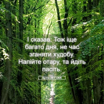 Picture 05 - Буття 29:7 UKR - І сказав: Тож іще багато - Bible Verse Picture