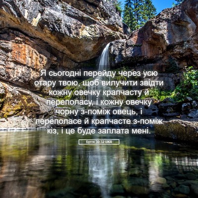 Picture 05 - Буття 30:32 UKR - Я сьогодні перейду через - Bible Verse Picture