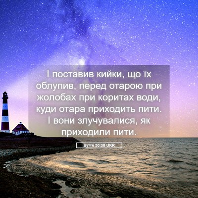 Picture 05 - Буття 30:38 UKR - І поставив кийки, що їх - Bible Verse Picture