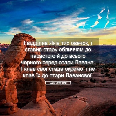 Picture 05 - Буття 30:40 UKR - І відділяв Яків тих овечок, - Bible Verse Picture
