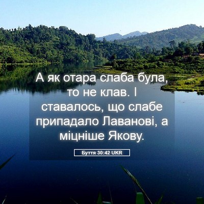 Picture 05 - Буття 30:42 UKR - А як отара слаба була, то не - Bible Verse Picture