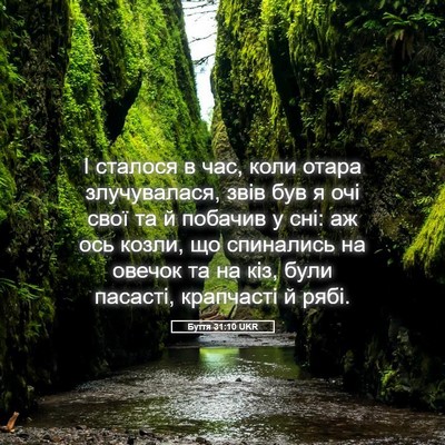 Picture 05 - Буття 31:10 UKR - І сталося в час, коли отара - Bible Verse Picture