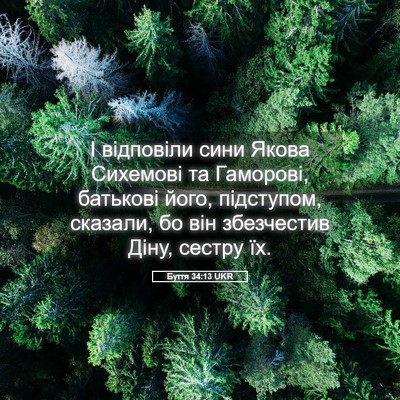 Picture 05 - Буття 34:13 UKR - І відповіли сини Якова - Bible Verse Picture