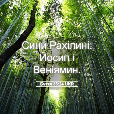 Picture 05 - Буття 35:24 UKR - Сини Рахілині: Йосип і - Bible Verse Picture