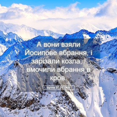 Picture 05 - Буття 37:31 UKR - А вони взяли Йосипове - Bible Verse Picture
