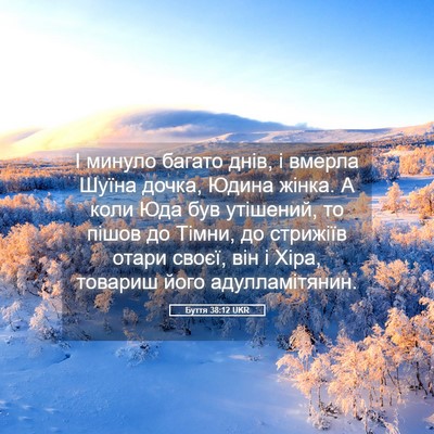 Picture 05 - Буття 38:12 UKR - І минуло багато днів, і - Bible Verse Picture