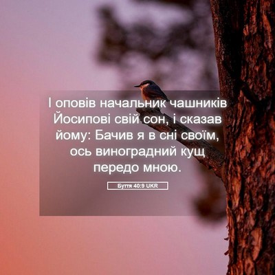 Picture 05 - Буття 40:9 UKR - І оповів начальник - Bible Verse Picture
