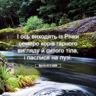 Picture 05 - Буття 41:2 UKR - І ось виходять із Річки - Bible Verse Picture