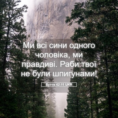 Picture 05 - Буття 42:11 UKR - Ми всі сини одного - Bible Verse Picture