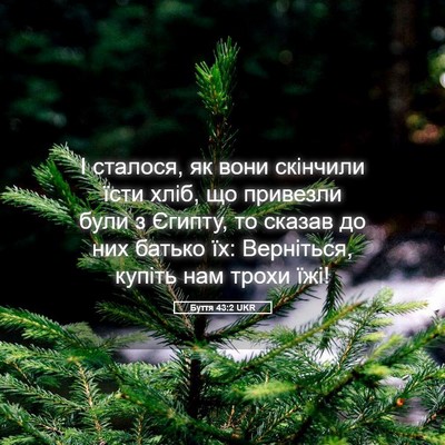 Picture 05 - Буття 43:2 UKR - І сталося, як вони скінчили - Bible Verse Picture