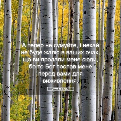 Picture 05 - Буття 45:5 UKR - А тепер не сумуйте, і нехай - Bible Verse Picture
