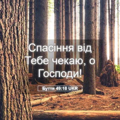 Picture 05 - Буття 49:18 UKR - Спасіння від Тебе чекаю, о - Bible Verse Picture