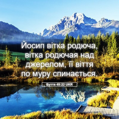 Picture 05 - Буття 49:22 UKR - Йосип вітка родюча, вітка - Bible Verse Picture