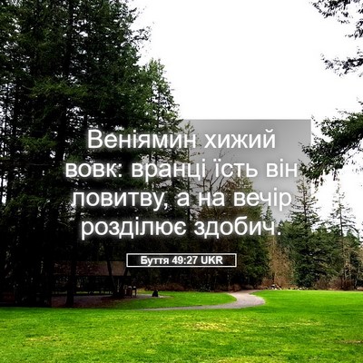 Picture 05 - Буття 49:27 UKR - Веніямин хижий вовк: - Bible Verse Picture