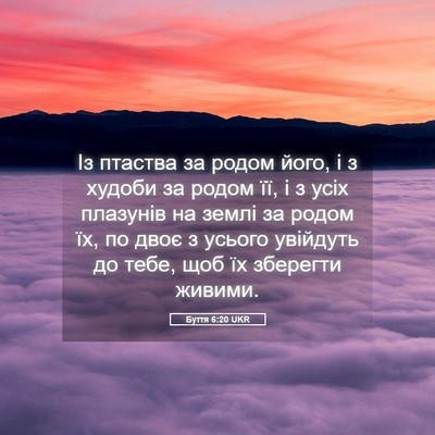 Picture 05 - Буття 6:20 UKR - Із птаства за родом його, і - Bible Verse Picture