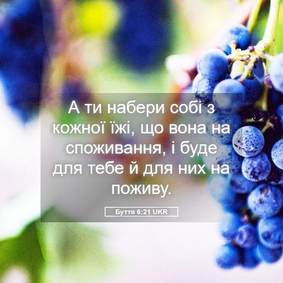 Picture 05 - Буття 6:21 UKR - А ти набери собі з кожної - Bible Verse Picture