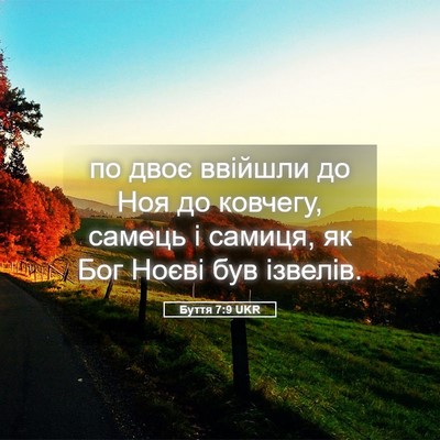 Picture 05 - Буття 7:9 UKR - по двоє ввійшли до Ноя до - Bible Verse Picture