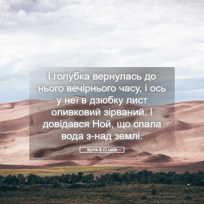 Picture 05 - Буття 8:11 UKR - І голубка вернулась до - Bible Verse Picture