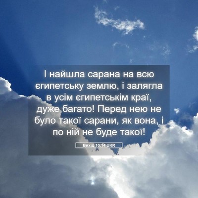 Picture 05 - Вихід 10:14 UKR - І найшла сарана на всю - Bible Verse Picture