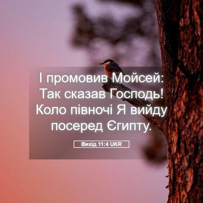 Picture 05 - Вихід 11:4 UKR - І промовив Мойсей: Так - Bible Verse Picture
