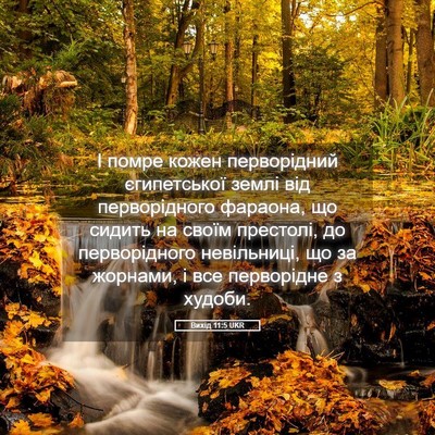 Picture 05 - Вихід 11:5 UKR - І помре кожен перворідний - Bible Verse Picture