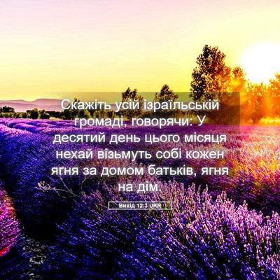 Picture 05 - Вихід 12:3 UKR - Скажіть усій ізраїльській - Bible Verse Picture