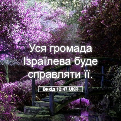 Picture 05 - Вихід 12:47 UKR - Уся громада Ізраїлева буде - Bible Verse Picture
