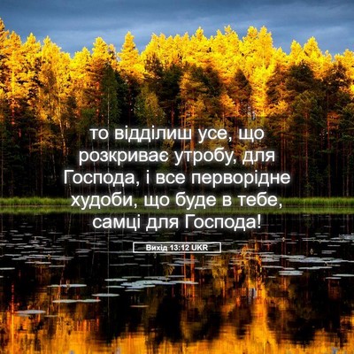 Picture 05 - Вихід 13:12 UKR - то відділиш усе, що - Bible Verse Picture