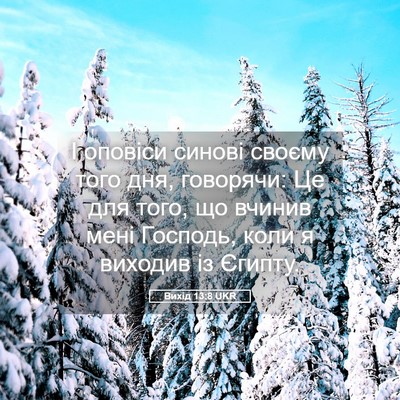 Picture 05 - Вихід 13:8 UKR - І оповіси синові своєму - Bible Verse Picture