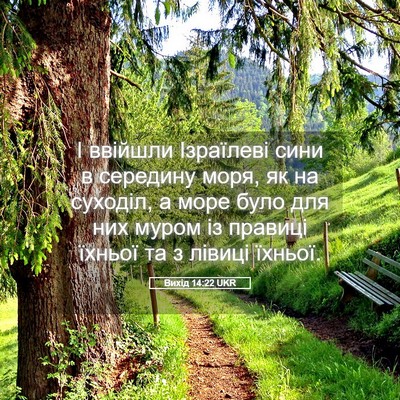 Picture 05 - Вихід 14:22 UKR - І ввійшли Ізраїлеві сини в - Bible Verse Picture