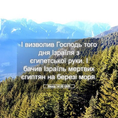 Picture 05 - Вихід 14:30 UKR - І визволив Господь того - Bible Verse Picture