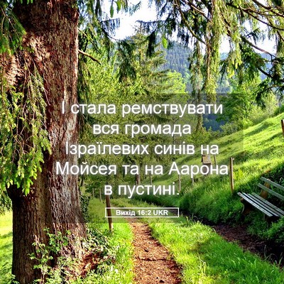 Picture 05 - Вихід 16:2 UKR - І стала ремствувати вся - Bible Verse Picture