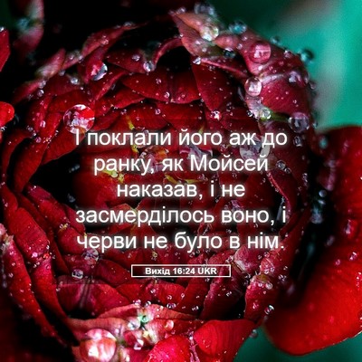 Picture 05 - Вихід 16:24 UKR - І поклали його аж до ранку, - Bible Verse Picture