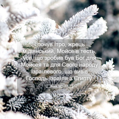 Picture 05 - Вихід 18:1 UKR - І почув Їтро, жрець - Bible Verse Picture