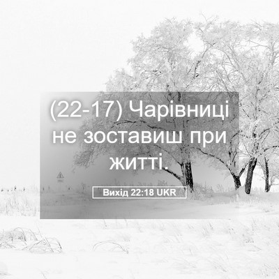 Picture 05 - Вихід 22:18 UKR - (22-17) Чарівниці не зоставиш - Bible Verse Picture