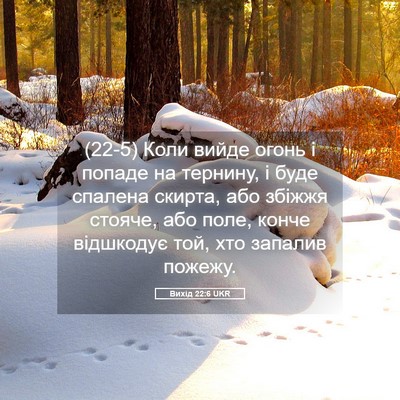 Picture 05 - Вихід 22:6 UKR - (22-5) Коли вийде огонь і - Bible Verse Picture