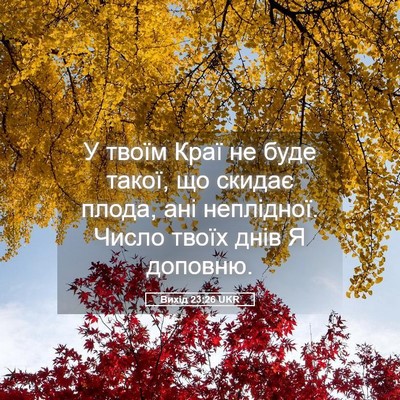 Picture 05 - Вихід 23:26 UKR - У твоїм Краї не буде такої, - Bible Verse Picture