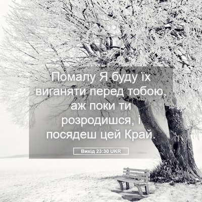 Picture 05 - Вихід 23:30 UKR - Помалу Я буду їх виганяти - Bible Verse Picture