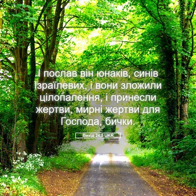 Picture 05 - Вихід 24:5 UKR - І послав він юнаків, синів - Bible Verse Picture