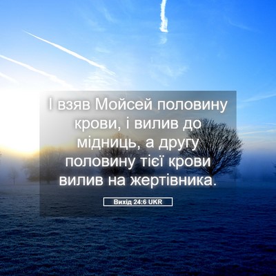Picture 05 - Вихід 24:6 UKR - І взяв Мойсей половину - Bible Verse Picture
