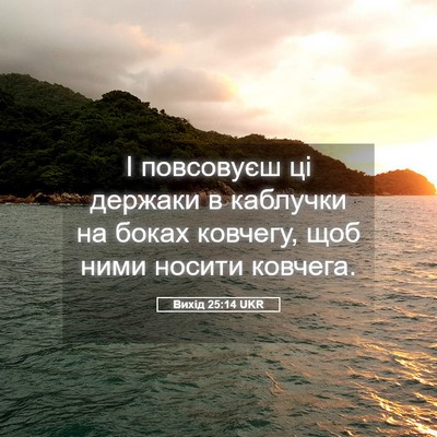 Picture 05 - Вихід 25:14 UKR - І повсовуєш ці держаки в - Bible Verse Picture