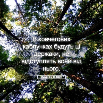 Picture 05 - Вихід 25:15 UKR - В ковчегових каблучках - Bible Verse Picture